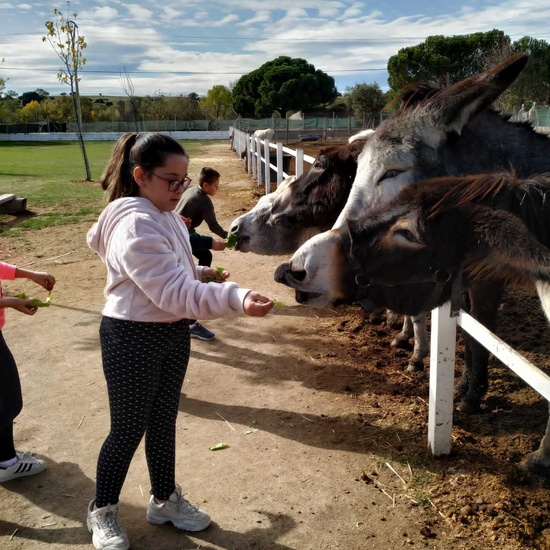 Burrolandia 1 26