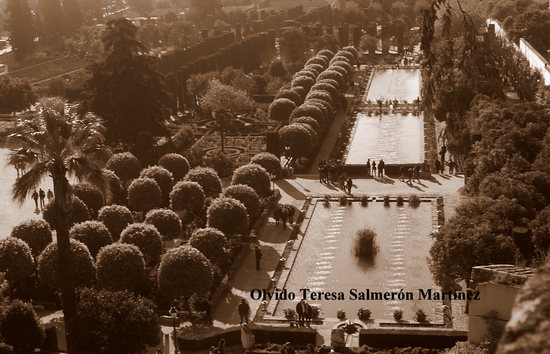 Retoque Jardines Córdoba