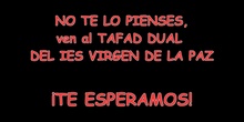 Características del TAFAD DUAL del IES Virgen de la Paz