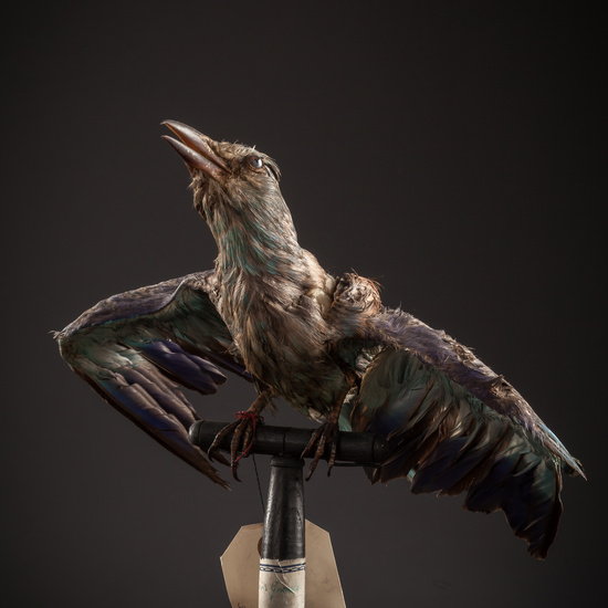 IES_SANISIDRO_BIOLOGIA_121