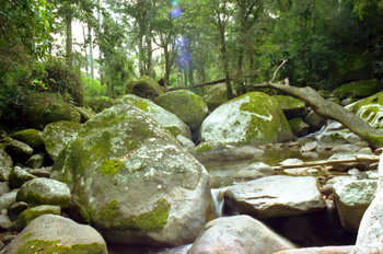 Arroyo afluente del río Molocue, Gurue, Mozambique