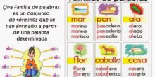 EXPLICACIÓN FAMILIAS DE PALABRAS