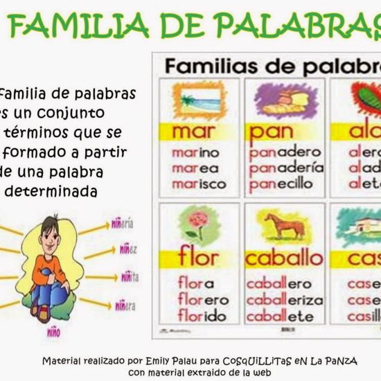 EXPLICACIÓN FAMILIAS DE PALABRAS