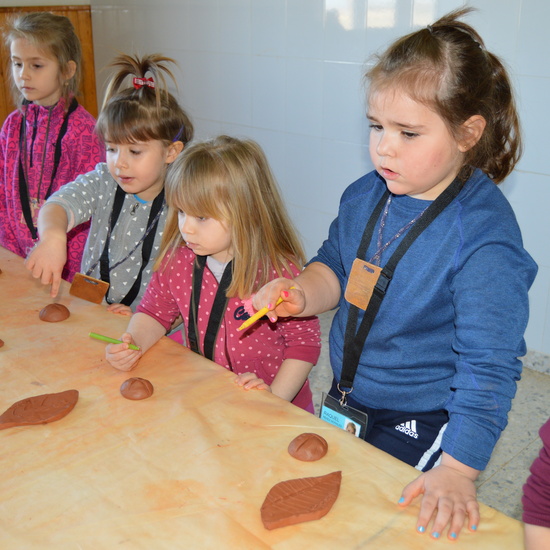 GRANJA ESCUELA ALBITANA 2018 2