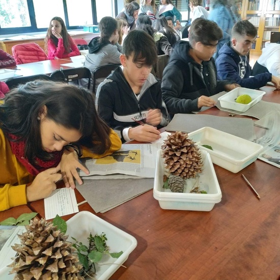 Instituto Nacional de Investigación y Tecnología Agraria 2019 (4ºESO) 16