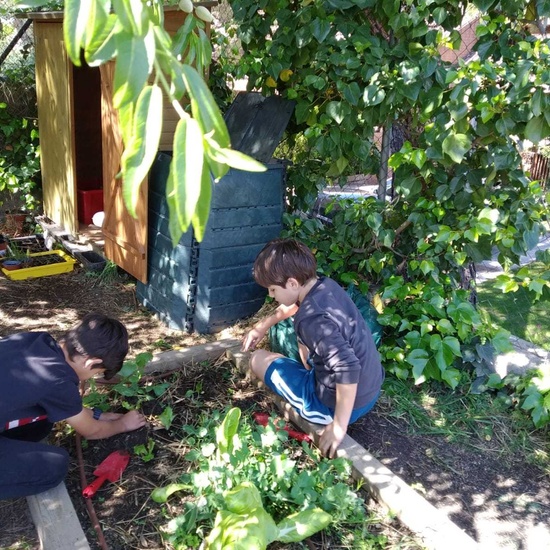2019_05_06_Quinto en el huerto en mayo_CEIP FDLR_Las Rozas 15
