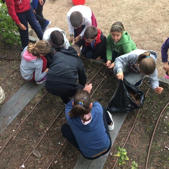 2018_11_CUARTO DISEÑANDO EL JARDIN DE LOS SENTIDOS_CEIP FDLR_LAS ROZAS 12