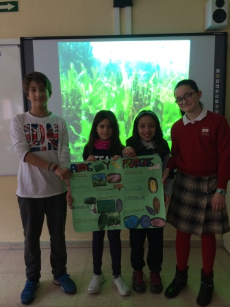 2016_12_Quinto A_Aprendizaje Cooperativo en CCNN 23