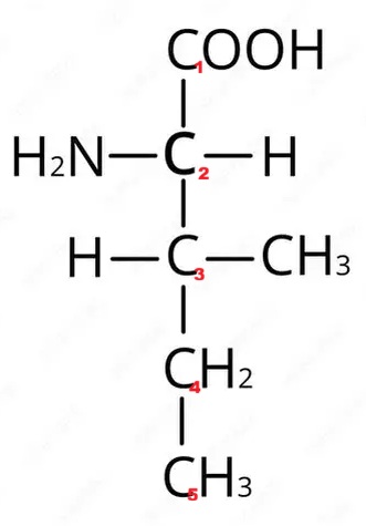 L-isoleucina i