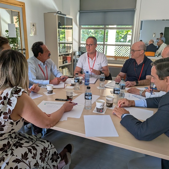 Autoridad docente_sesión presencial (111)