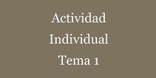 Actividad Individual Tema 1