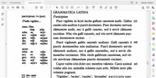Capitulum XIV Grammatica