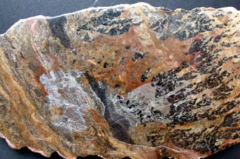 Montículo microbiano