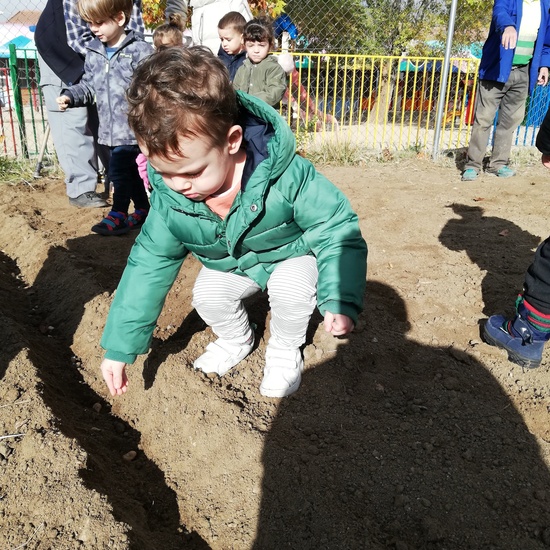 Huerto escolar 2019/20 37