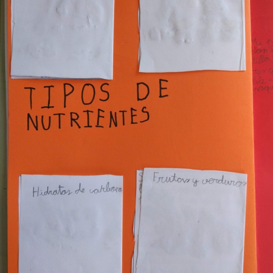 [Lapbook] - Mi atlas del cuerpo humano (3º de primaria) - IMAGEN 8