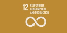 RESPONSIBLE CONSUMPTION AND PRODUCTION