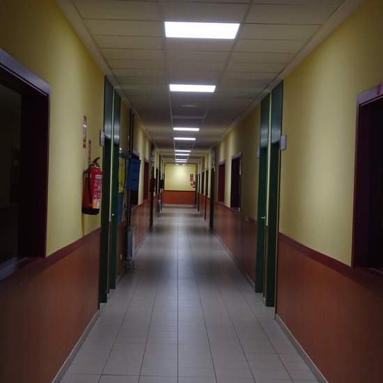 IES Tirso de Molina 8