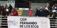 2018-04-09_Olimpiadas Escolares_CEIP FDLR_Las Rozas_Gradas