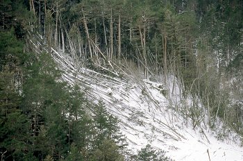 Alud de nieve en Ordesa