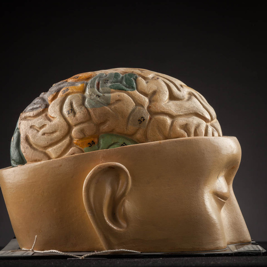 IES_ISABELLACATOLICA_ANATOMIA_004