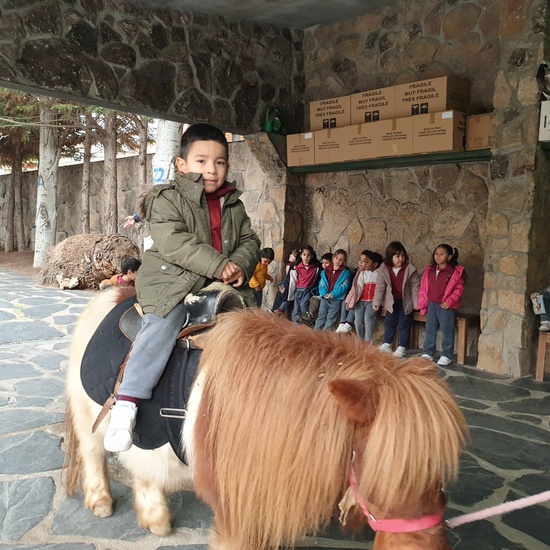 Excursión a la granja (Infantil) 28