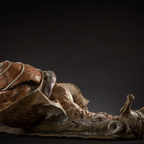 IES_CARDENALCISNEROS_ZOOLOGIA_II_MODELOS_007