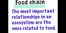 PRIMARIA 5º	CIENCIAS DE LA NATURALEZA	FOOD CHAIN AND FOOD WEBS