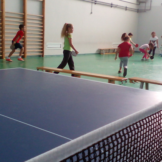 ping-pong 15