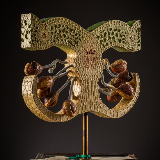 IES_SANISIDRO_BIOLOGIA_224