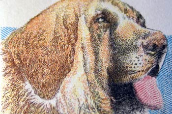 Perro mastín español