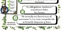 INSTRUCCIONES T5 CANVA