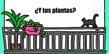 SISTEMAS DE AUTORRIEGO PLANTAS