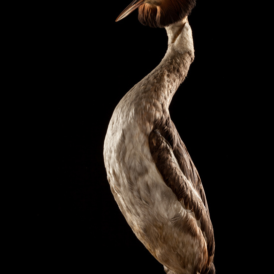 IES_SANISIDRO_BIOLOGIA_003