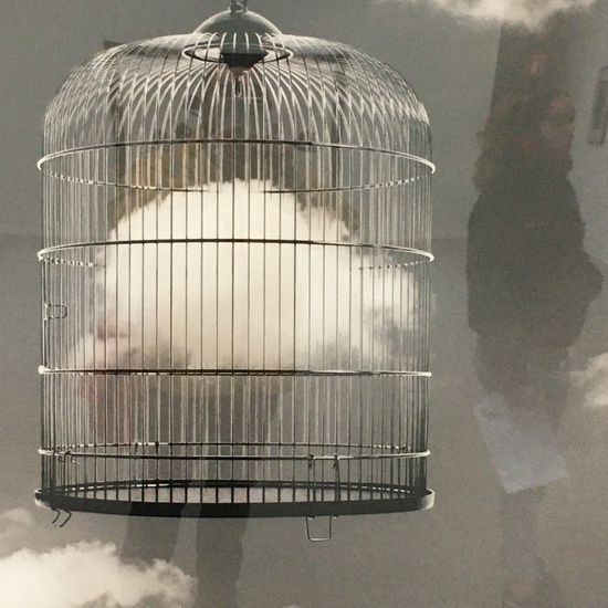 Exposición Chema Madoz 6