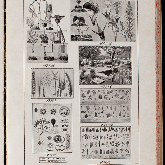 IES_CARDENALCISNEROS_CATALOGOS_133