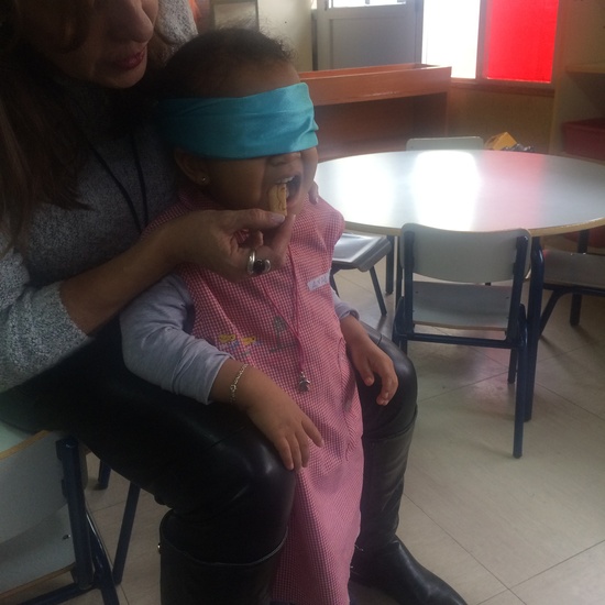 2016_11_Infantil 3 años A experimenta con los sentidos  5