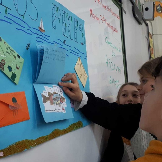 2020_02_13_4º proyecto animales vertebrados_CEIP FDLR_Las Rozas 8