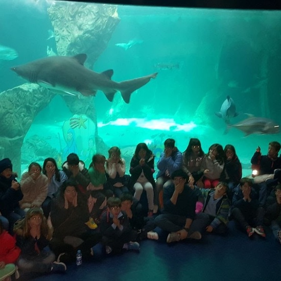 3ºE- Fotos Primer Trimestre 8