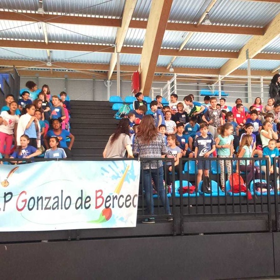 MINIOLIMPIADAS 4º CURSO 4