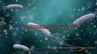 Helicobacter pylory
