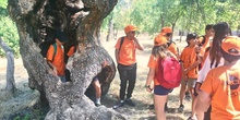 Sexto descubre la "verdadera historia" de San Lorenzo de El Escorial...CEIP FDLR_Las Rozas 6