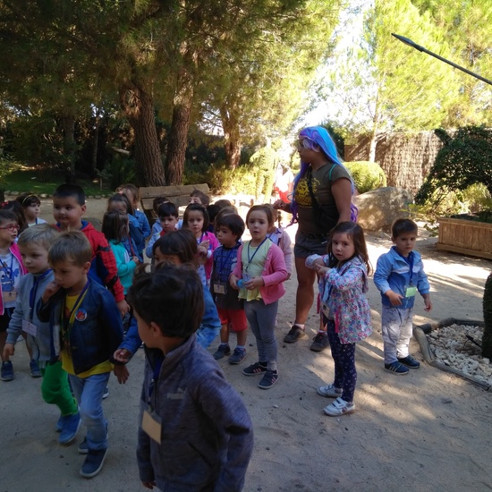 Excursión bosque encantado 16