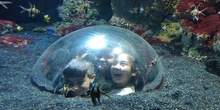 FOTOS AQUARIUM 2 24