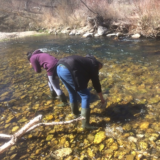 TALLER BIODIVERSIDAD PINILLA DEL VALLE 4