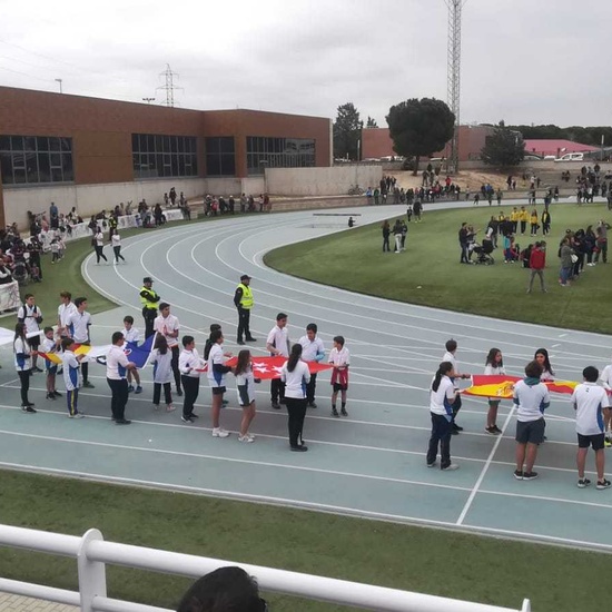 campeonatos escolares