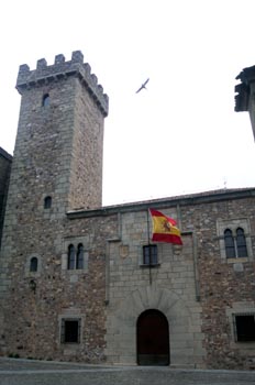 Torre de las Cigüeñas - Cáceres