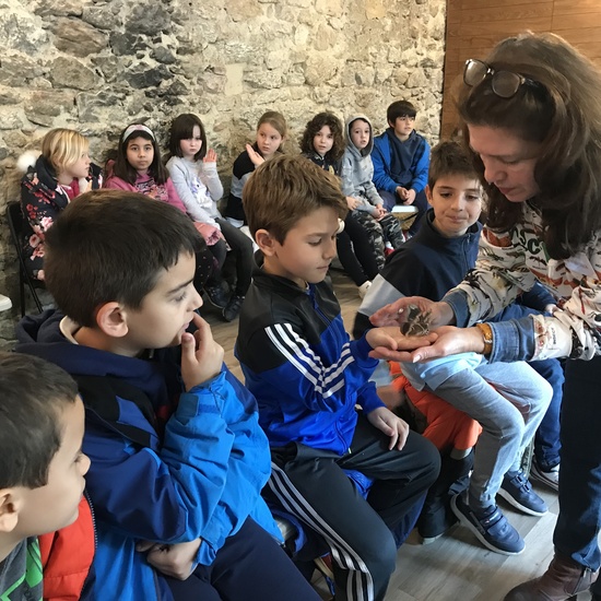 2020_02_27_3º visita Insectpark (5)_CEIP FDLR_Las Rozas 3