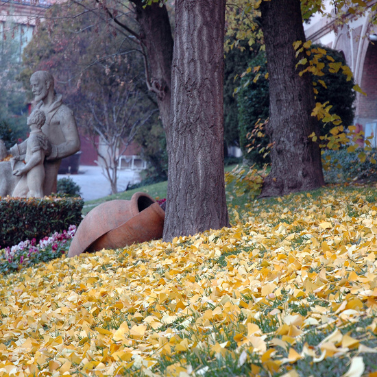 E_ARTE_JACINTOALCANTARA_017