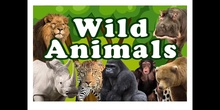 PRIMARIA - 2º - WILD ANIMALS - INGLÉS - FORMACIÓN