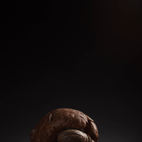 IES_CARDENALCISNEROS_ANATOMIA_MODELOS_101